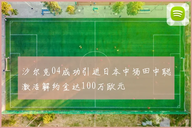沙尔克04成功引进日本中场田中聪激活解约金达100万欧元