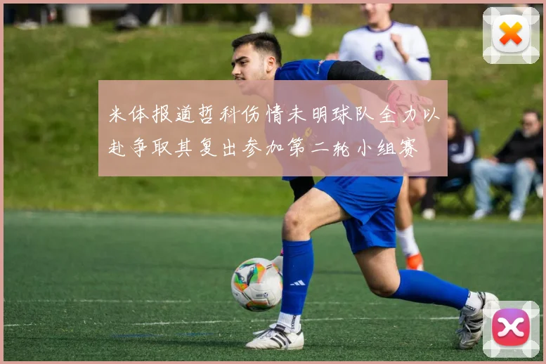 米体报道哲科伤情未明球队全力以赴争取其复出参加第二轮小组赛