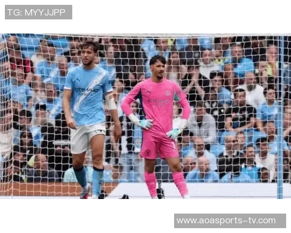 英超夏季转会窗口新援影响力榜单揭晓格拉利什领衔约克雷斯维尔茨排名解析 英超夏季转会窗口新援影响力榜单揭晓格拉利什领衔约克雷斯维尔茨排名解析